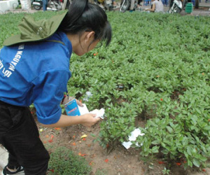Phao thi trắng sân ĐH Thủy lợi, SV toát mồ hôi thu gom