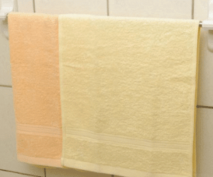 Đặt những món này trong nhà vệ sinh, đừng hỏi sao bạn cứ bệnh mãi