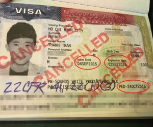 "Không có sai sót trong visa của Trấn Thành"