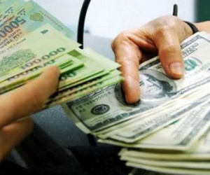 Tỷ giá USD/VND “miễn nhiễm” với cơn sốt vàng