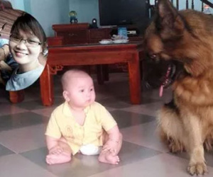 "Lời kêu cứu" cười ra nước mắt của cô vợ có chồng nghiện chim mê gà, coi chó như con