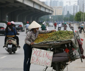 "Luật ngầm" của dân buôn hoa quả vỉa hè