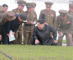 Ông Kim Jong-un tìm thấy suối "trường sinh bất lão"