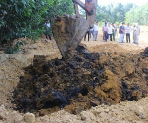 Di dời hơn 100 tấn chất thải của Formosa khỏi trang trại