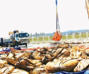 Đã xác minh được chất thải Formosa đưa về Phú Thọ
