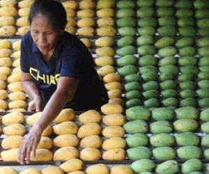 Dân Trung Quốc tẩy chay xoài Philippines vì tranh chấp biển