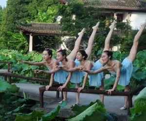 Loạt chân dài nhảy múa ở hồ sen bị dân mạng chỉ trích