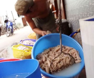Ớn lạnh bì heo ở Sài Gòn