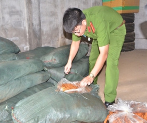 Cảnh sát ngăn chặn gần hai tấn lòng lợn thối tuồn ra chợ