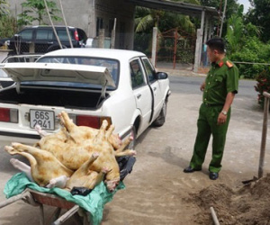 Phát hiện thịt dê đổi màu, hôi thối sắp tuồn vào nhà hàng