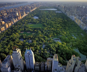 Central Park - Mảng xanh khổng lồ giữa New York