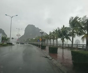 Hải Phòng, Quảng Ninh bắt đầu có mưa gió lớn