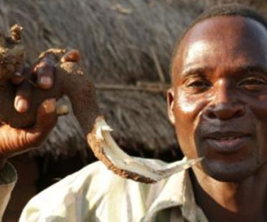 Nghề quái đản ở Malawi: Phá trinh bé gái