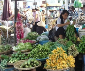 Tin bão số 1 về, người dân đổ xô đi chợ tích trữ thực phẩm