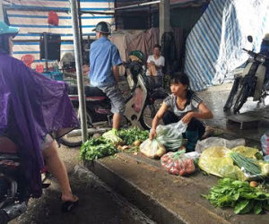 Bão càn quét, giá rau tăng gấp đôi