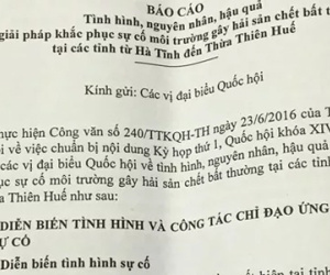 Báo cáo riêng về Formosa: Đầu tháng 8 sẽ công bố thiệt hại về môi trường