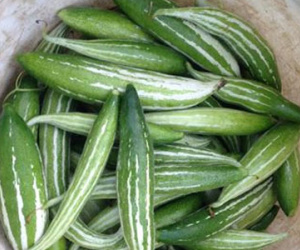 Bão số 1 đổ bộ: Dân văn phòng đua nhau đặt rau xanh trên mạng