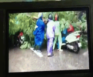 Hà Nội: Bất chấp nguy hiểm, gió to, người dân lao vào cứu 2 phụ nữ bị cây đè do bão