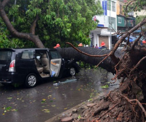 Hà Nội: Gió giật kinh hoàng, hàng trăm người bỏ xe chạy thoát thân