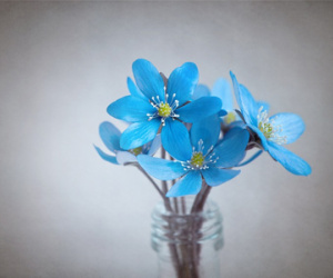 Thứ năm của bạn