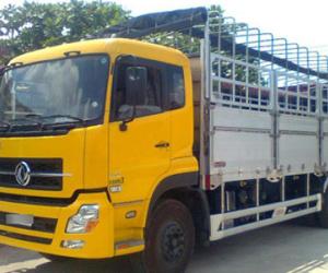VAMI tố doanh nghiệp nhập khẩu khai gian giá ôtô Trung Quốc để lách thuế
