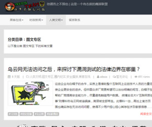 Hacker tự xưng tấn công trang web Vietnam Airlines là ai?