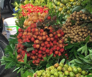 Nông dân khóc ròng giá rẻ, ra Hà Nội chôm chôm đắt 8 lần