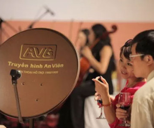 Thủ tướng yêu cầu thanh tra toàn diện vụ Mobifone mua AVG