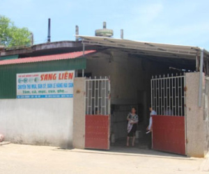 Hà Tĩnh: Sở Y tế không biết số cá nhiễm độc đã tiêu thụ?