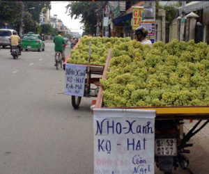 Nho xanh Trung Quốc đổ bộ đường phố Sài Gòn