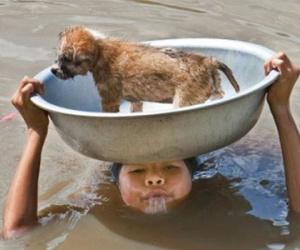 Những bạn nhỏ khiến dân mạng tin vào tình người