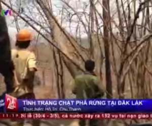 Dân mạng nói gì trước tin VTV "bị tố" dàn dựng cảnh phá rừng làm PS?