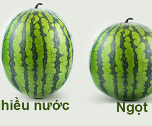 Mẹo chọn dưa hấu quả nào cũng ngọt