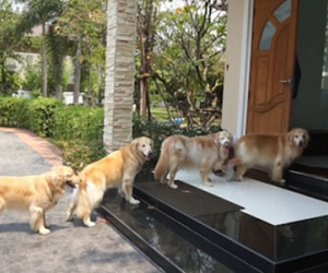 Những dấu hiệu báo trước may mắn đang đến với bạn