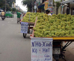 Những loại trái cây Trung Quốc đội lốt hàng Việt