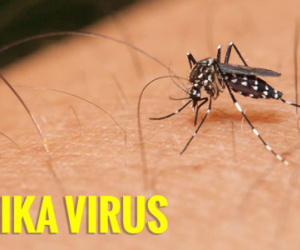 Phát hiện thanh niên 27 tuổi ở Phú Yên nhiễm virus Zika