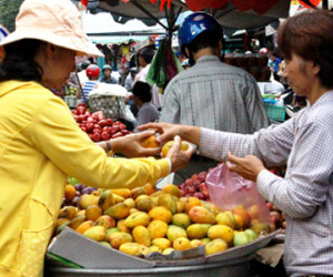 Xoài "tí hon" có xuất xứ Trung Quốc
