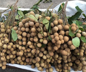 Dân sành ăn Hà Nội săn mua nhãn quê giá rẻ