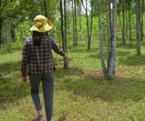 Sự thật câu chuyện hồn vợ về kêu oan bị chồng sát hại