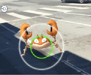 Cách tìm và bắt Pokémon hoang dã tốt nhất