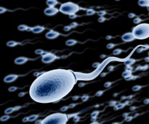 Trắc nghiệm thú vị về tinh trùng