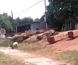 Đề nghị cách chức, luân chuyển nhiều kiểm lâm ở Quảng Trị