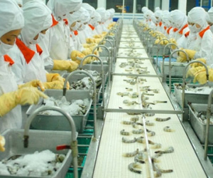 EU sẽ thanh tra toàn diện vấn đề an toàn thực phẩm thủy sản nuôi Việt Nam
