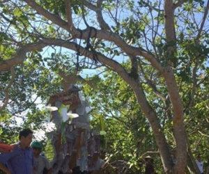 Thi thể thiếu nữ treo lơ lửng trong vườn điều