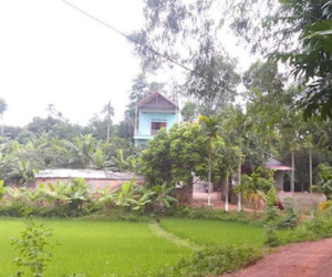 Bắc Giang: Vợ trói chồng rồi chích điện đến chết