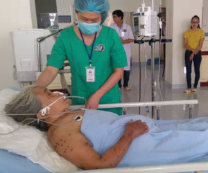 Bị ong vò vẽ đốt 200 mũi, cụ bà 79 tuổi nguy kịch