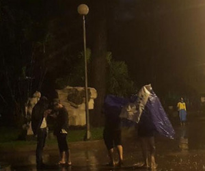 Sau một đêm mưa, fan Pokemon Sài Gòn tốn hàng trăm triệu mua điện thoại mới