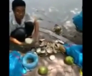 Clip: "Tắm" chất lạ cho dừa xiêm trên phố Hà Nội