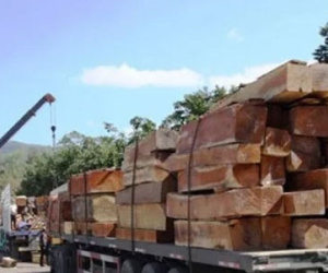 Mỹ, Trung Quốc vượt Lào về xuất gỗ vào Việt Nam