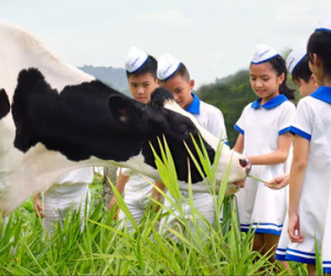 Rạng rỡ Vươn cao Việt Nam